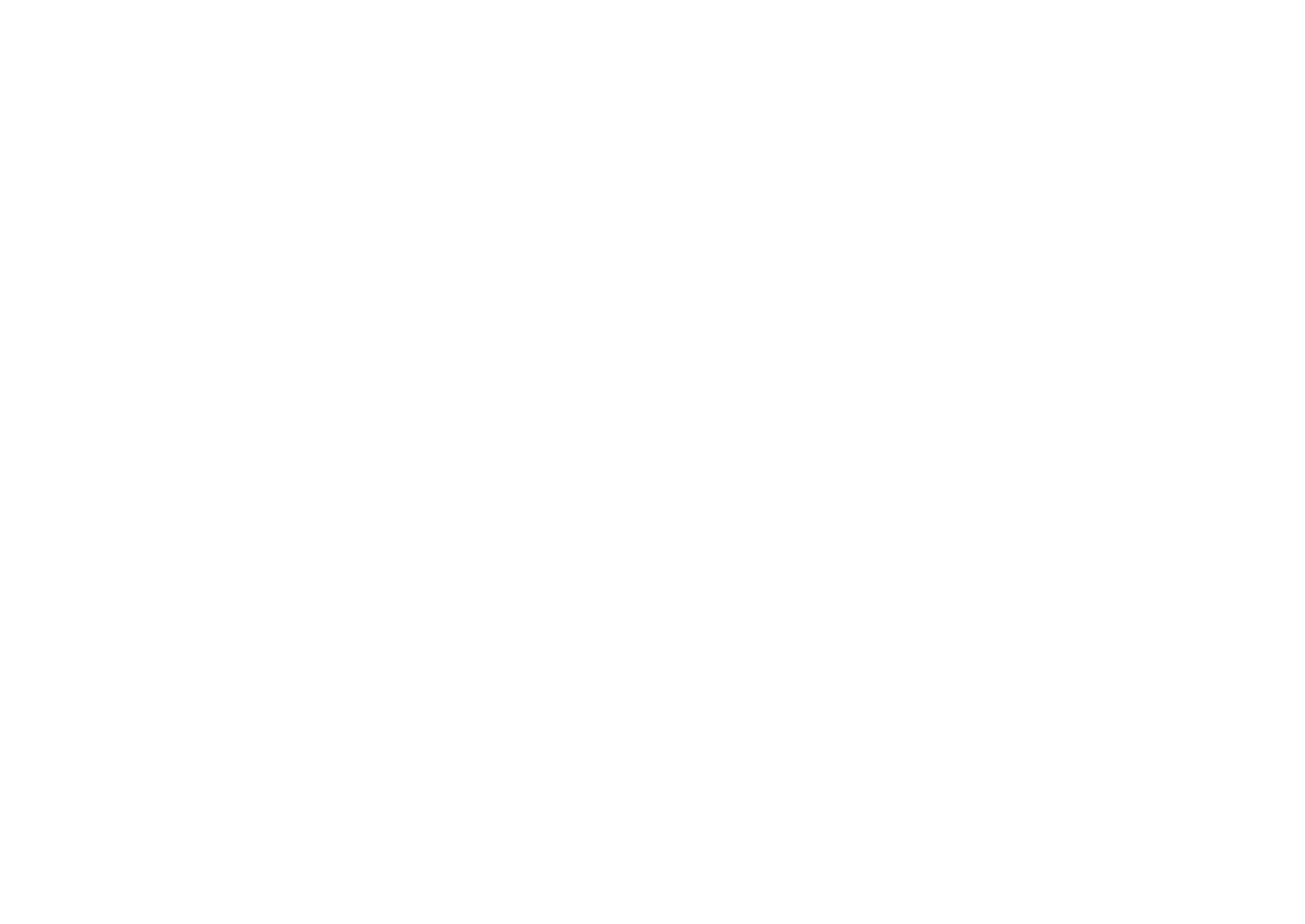 Instalação e manutenção de GNV, reteste,itagua, gnv, rj, combustivel, serviços